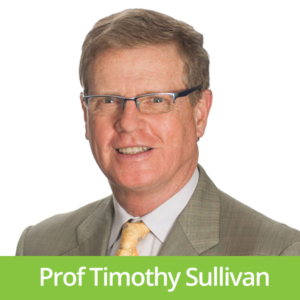 Professor Timothy Sullivan